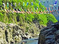 *【周辺観光】大歩危（車で約25分）：3月下旬～5月末に各地から寄贈された鯉のぼりが吉野川を泳ぎます