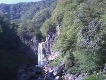 高さ55m　日本の滝百選「苗名滝」（車で10分）