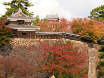 松江城の紅葉