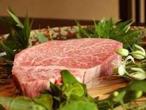 希少価値の高いブランド牛「増田牛」A5ランクのフィレ肉