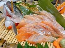 *当館でお出しする琵琶鱒は漁師さんの1本釣りのもの！かなり珍しく、おいしさ・美しさは格別です！