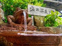 坂井温泉★天然温泉しかも含鉄泉と珍しい温泉です。日帰り入浴も歓迎です。ぜひお越しください。