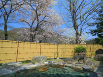 露天風呂一例（春）／朝は小鳥のさえずり、夜は星空を眺めながら。春は桜が最高に綺麗！