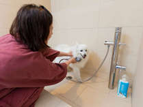 【スパリゾート館ペットルーム】ワンちゃん専用のシャワーブースには、犬用シャンプーもございます。