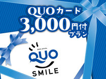 QUOカード3000円付プラン
