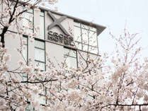 高瀬川沿いの桜の木からみたクロスホテル京都