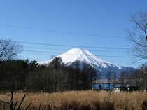 お部屋からの富士山
