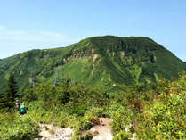 日本百名山の苗場山は登山客に人気です