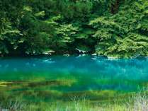 【五色沼】「ミシュラン・グリーンガイド1つ星」に認定された神秘の湖沼。ホテルから徒歩3分