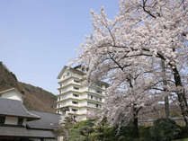 春の外観。自然に囲まれた空間に桜が映える吉川屋。 写真