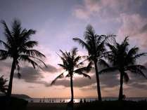 沖縄の中心部にある美浜エリアを拠点に、北へ南へお好きなところに、個別にエスコート致します。