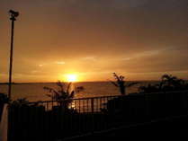 椰子の木の向こうに沈む夕陽。南の島のらしい風景。