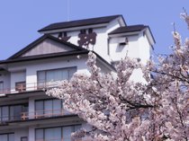 【春】仙台の桜は　『4月下旬』　が見頃です