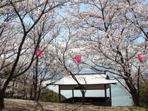｢Ｎのために｣｢二十四の瞳｣のロケ地になった『城山桜公園』※桜の見頃は4月上旬。宿から徒歩約15分