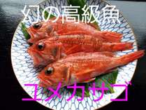 【幻の高級魚】ユメカサゴの塩焼き付海鮮プラン　