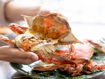 【茹でガニ】竹崎蟹の素材の味を存分に味わえる茹ガニ◎是非、1度お召し上がりください♪