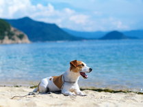 【ドッグヴィラ】海が近くのヴィラで愛犬同伴ステイ　※イメージ