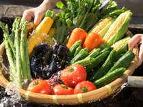 【こだわりの食材】地元農家さんより直接仕入れる朝採れ野菜や旬の食材。