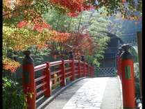 『桂橋』竹林の小路に架かる赤い橋はドラマやCMのロケ地になっています。