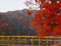 秋の嵐山　観月橋※写真は過去に撮影されたものです