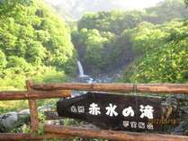 【赤水の滝】梅ヶ島まであと少し！