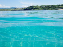・【周辺/高浜海水浴場】透明度の高い、美しいエメラルドグリーンの海
