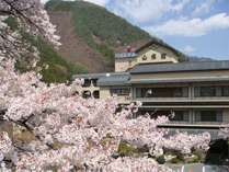 春の山県館