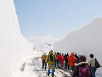 *【アクティビティ】雪の壁を歩く！八甲田ウォーク 写真