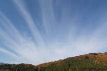 ̐i2012N1113j