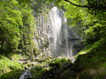 ＜じゃらん＞ シャレー中西 (岐阜県)画像