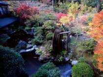【日本庭園の紅葉】四季折々いろんな表情を見せる日本庭園。ロビーから見下ろした角度。 写真