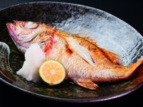 【一品料理-魚料理】のどぐろ塩焼き