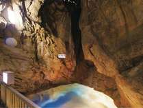 【新・龍河洞チケット付】龍河洞に最も近いお宿で天然温泉と土佐郷土会席をお楽しみ、２食付きプラン♪