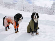 *当館近くに広い雪原がございます！