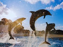 【海きらら】(c)写真提供：（一社）長崎県観光連盟　当館から車で5分！イルカと触れ合えるイベントも！
