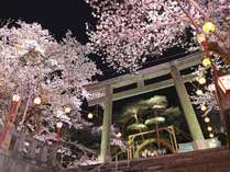 【鬼怒川護国神社の夜桜】鬼怒川護国神社・温泉神社境内で夜桜花見をお楽しみください