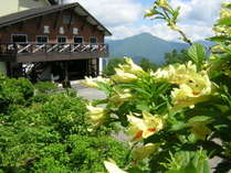 【黒岳駅】標高1300ｍ地点にある五合目駅舎。春から夏にかけては可愛らしい高山植物も見られます