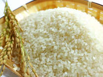 食味1位「南魚沼市塩沢地区」提携農家からのお米を提供。