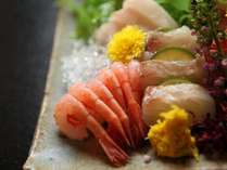 日本海の美味しい鮮魚盛り合せ。新潟代表、とろけるような南蛮海老の旨味♪