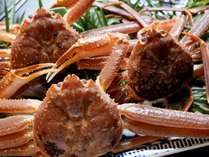日本海の一級品！ズワイガニ！蟹の濃厚な旨味にうっとりしちゃいます&#9825;