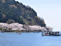 ・琵琶湖から望む桜を満喫できます