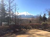 当館の庭からの景色。晴れの日には富士山が美しく見えます。