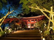 400個以上もの竹あかりに照らされる幻想的な日本庭園をお楽しみいただけます。