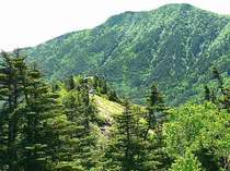 当館は根子岳・四阿山の山道沿いで、登山には便利です。根子岳２００７ｍから四阿山２３５４ｍを望む！！