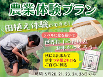 世界に１つ、オリジナルのお米をつくろう！農業体験付プラン