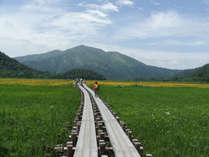 日本最大の山岳湿地尾瀬国立公園