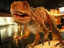 福井県立恐竜博物館は子供から大人まで大人気の観光スポット★車で約5分