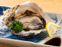 日本海ですくすくと育った隠岐の「岩牡蠣」を贅沢に生でお召し上がりいただけます！