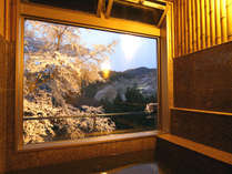 【眺望風呂】春の桜のシーズンになると、目の前に大きな桜の木を見ることが出来ます