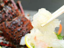 新鮮な伊勢海老を贅沢にお造りで楽しむ♪プリプリの食感をお楽しみ下さい。※画像はイメージです。